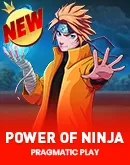 Power of Ninja